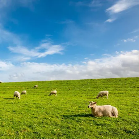Ferienhaus-elbdeichblick-haselau