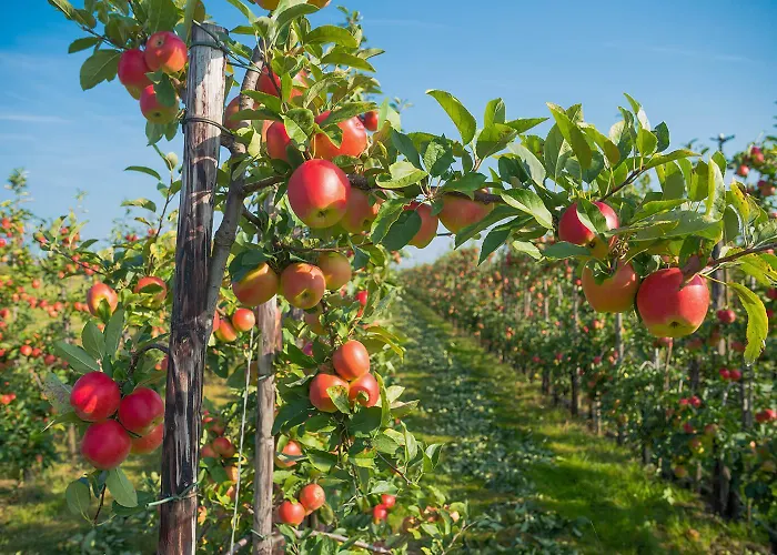 Ferienhaus-elbdeichblick-haselau Feriehus *