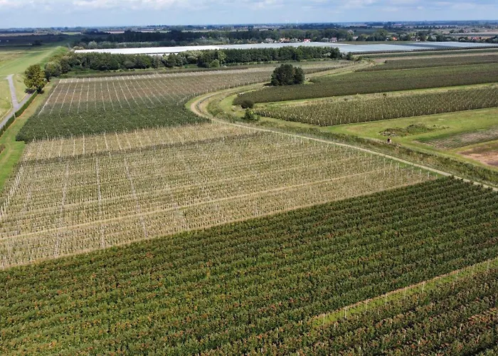 Ferienhaus-elbdeichblick-haselau